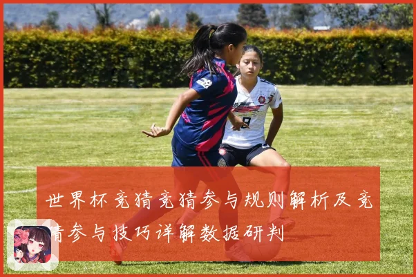 世界杯竞猜竞猜参与规则解析及竞猜参与技巧详解数据研判
