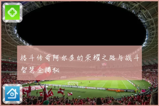 格斗传奇阿尔多的荣耀之路与战斗智慧全揭秘