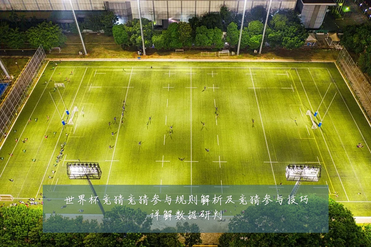 世界杯竞猜竞猜参与规则解析及竞猜参与技巧详解数据研判